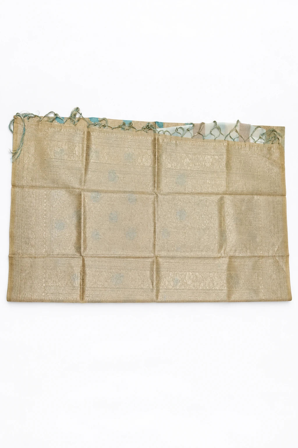 Vedika — Gold Aqua Leaf Motif Saree, retouched pallu & tassels on a clean background