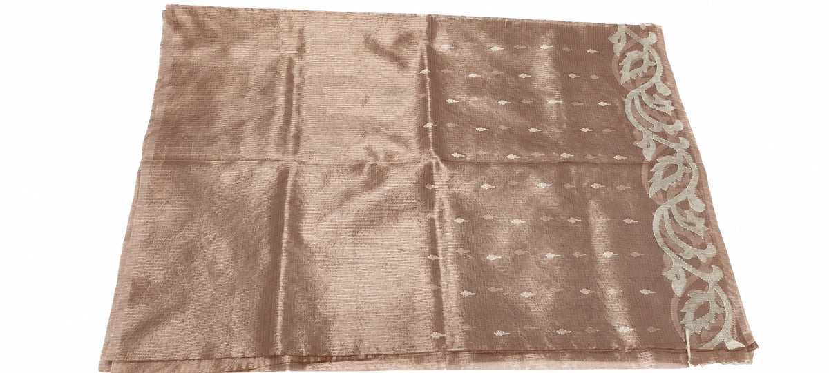 Yashika — Rose Gold Scroll Border Saree, retouched garment detail 1 on a clean background